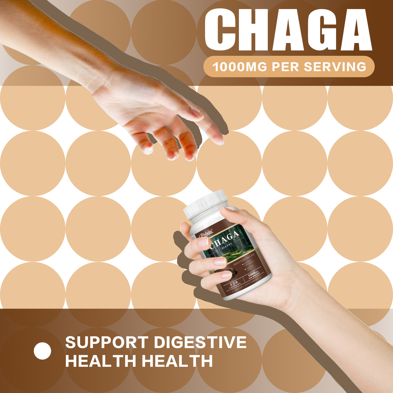 Chaga Extract 1000mg – Mushroom Extract, Antioxidant Energy & Immune Support