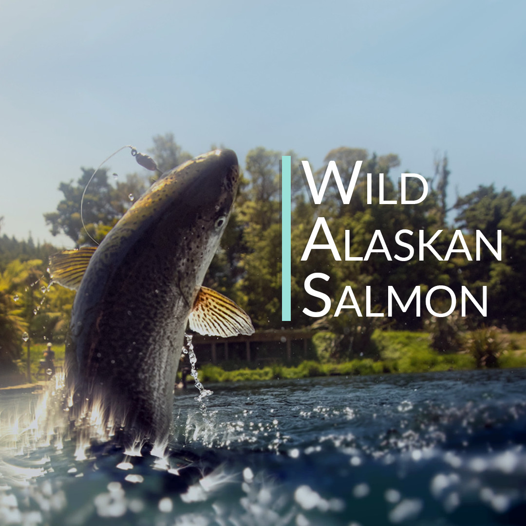 Wild Alaskan Salmon Bone Broth Powder – Pure Protein Organics 1KG Unflavored