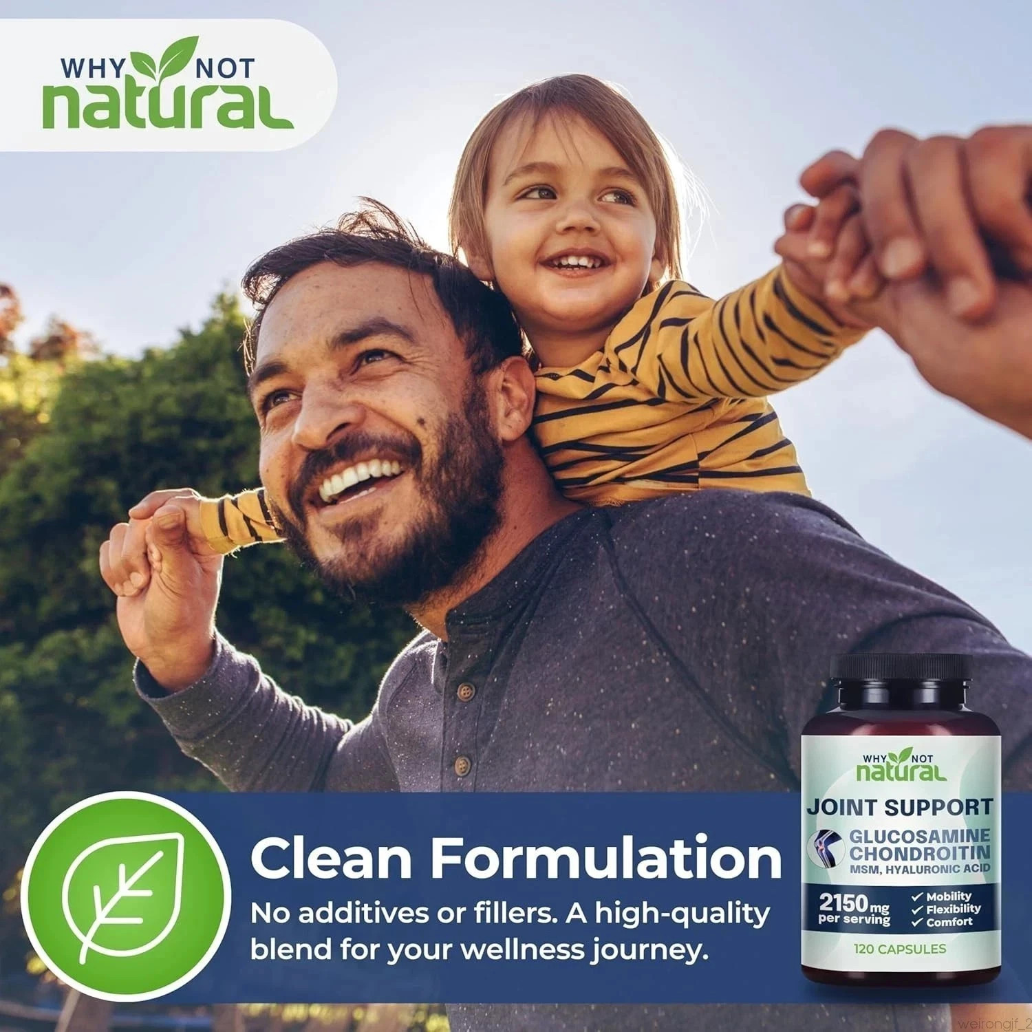 . Joint Support 2150mg – Why Not Natural Chondroitin Glucosamine 120 Capsules
