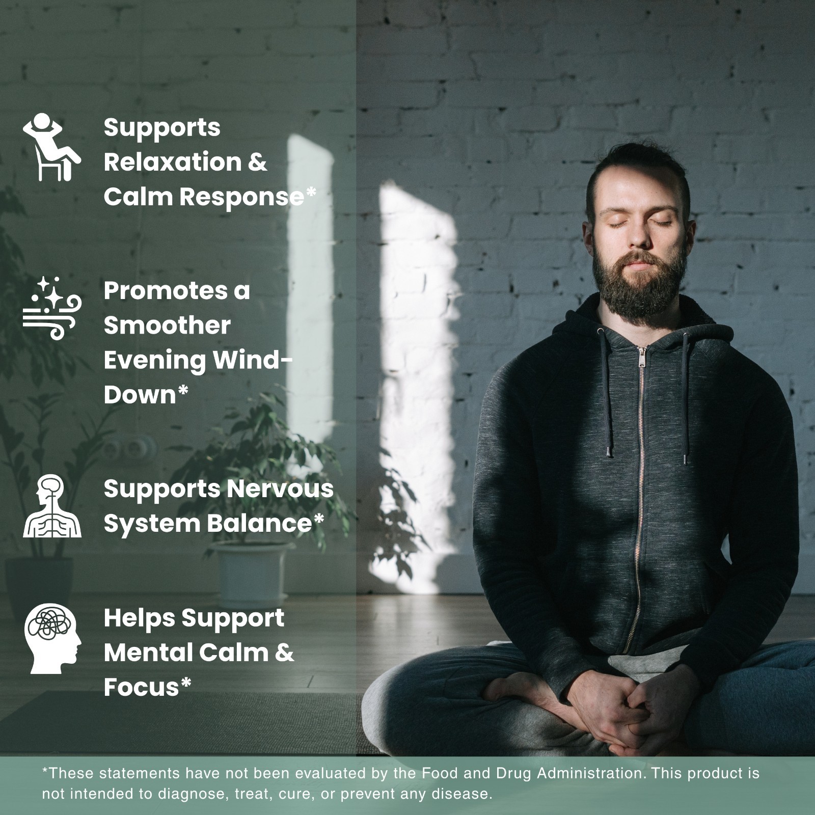 Bloofah Calm+ Powder | Magnesium L-Theanine Ashwagandha | Sleep & Stress