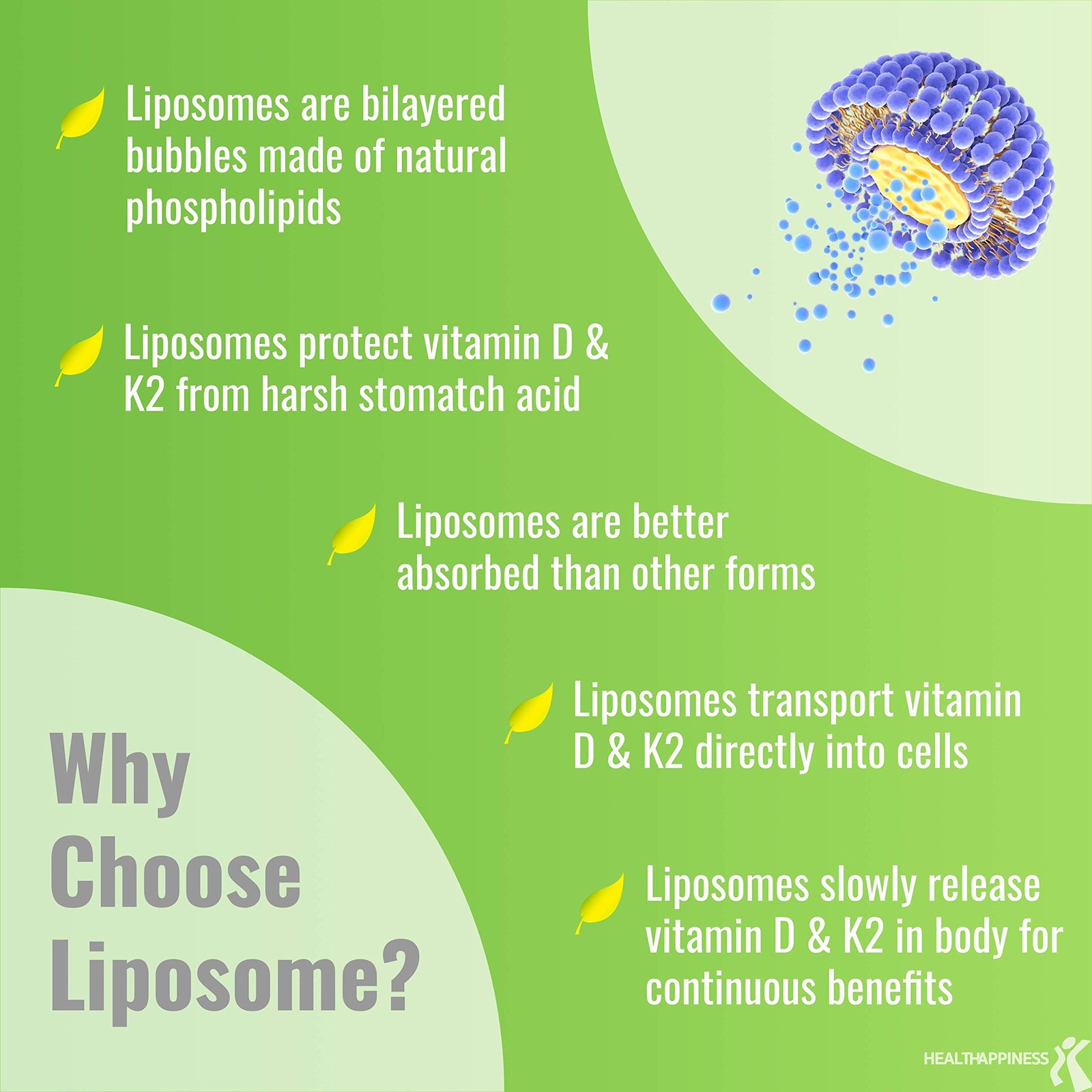 Liposomal D3 & K2 MK-7, Advanced Absorption for Optimal Bone and Immune Healt…