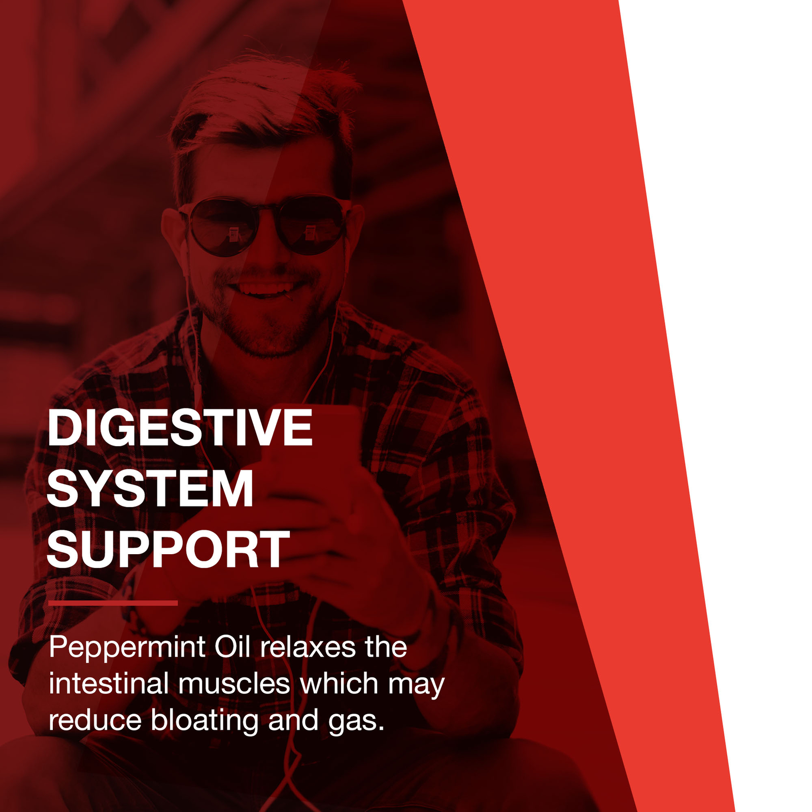 Protocol Peppermint Oil G.I. Digestive Support, Ginger & Fennel Oils 90 Softgels