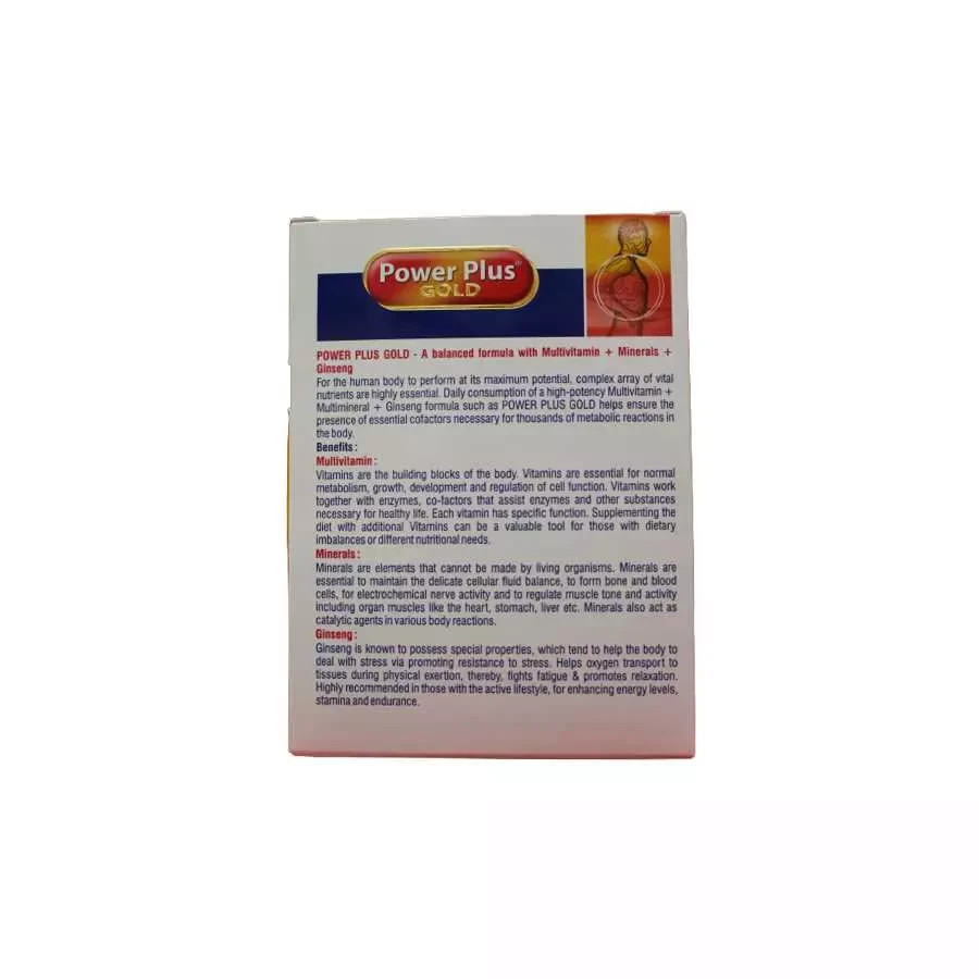 ⭐FAST SHIPPING⭐ 2 PACK X Power Plus Gold Multi Vitamins And Minerals 30 Capsule