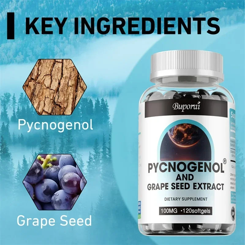 Pycnogenol & Grape Seed Extract 240pcs – Energy, Cellular Health, Anti-Aging