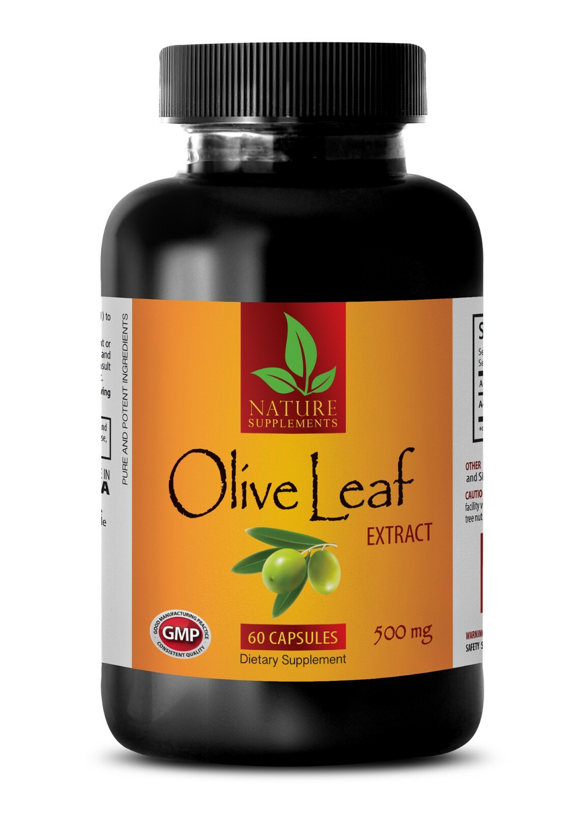 Cholesterol lowering supplements – NATURAL OLIVE LEAF 500MG – Olive immune 1B