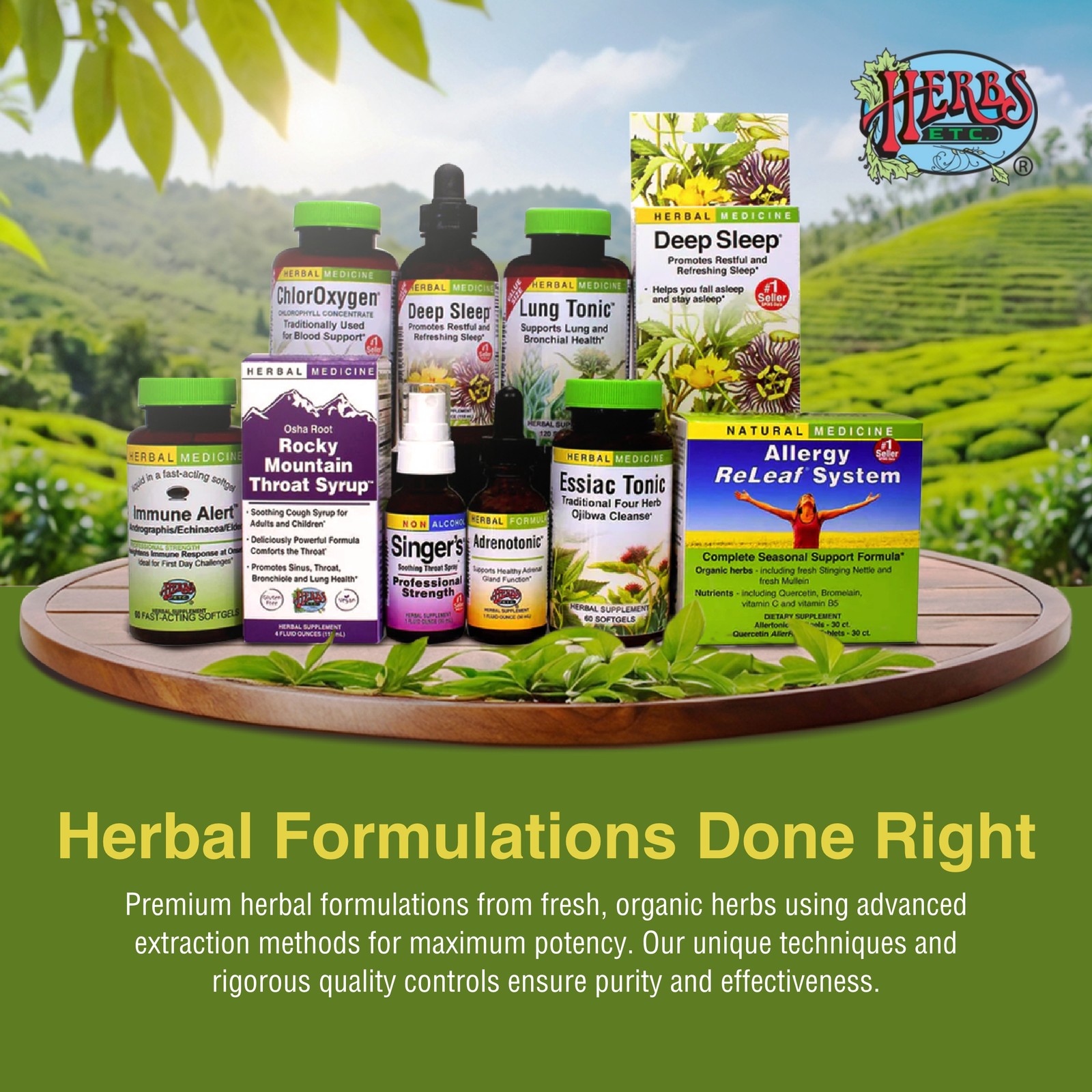 Herbs Etc. ChlorOxygen, Chlorophyll Concentrate Dietary Supplement, 60 Softge…