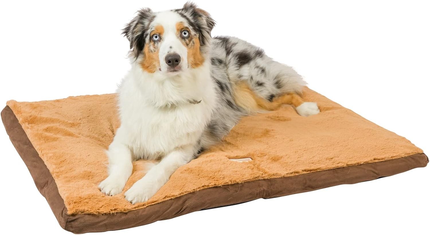 Armarkat Brown Pet Bed,39-Inch by 28-Inch by 5-Inch