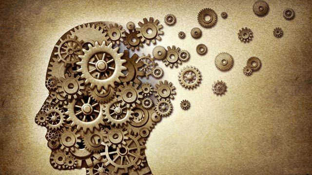 Valeriana Officinalis – Valerian Root Extract 4:1 125mg – Calming The Mind 2B