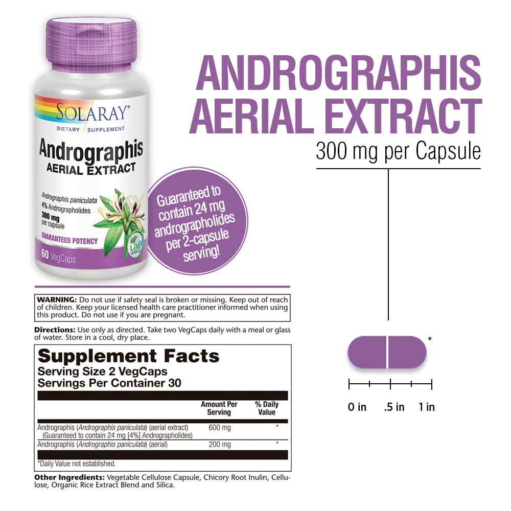 Solaray Andrographis Aerial Extract 300 mg | 30 Serv | 60 VegCaps