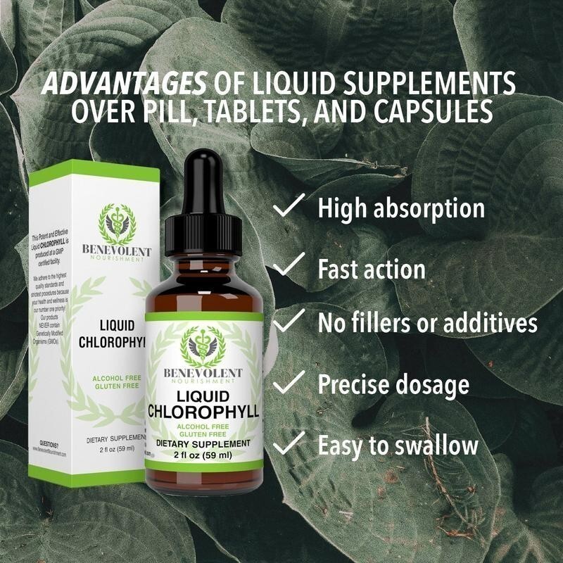 NEW Benevolent Nourishment Liquid Chlorophyll Herbal Supplement 2 oz