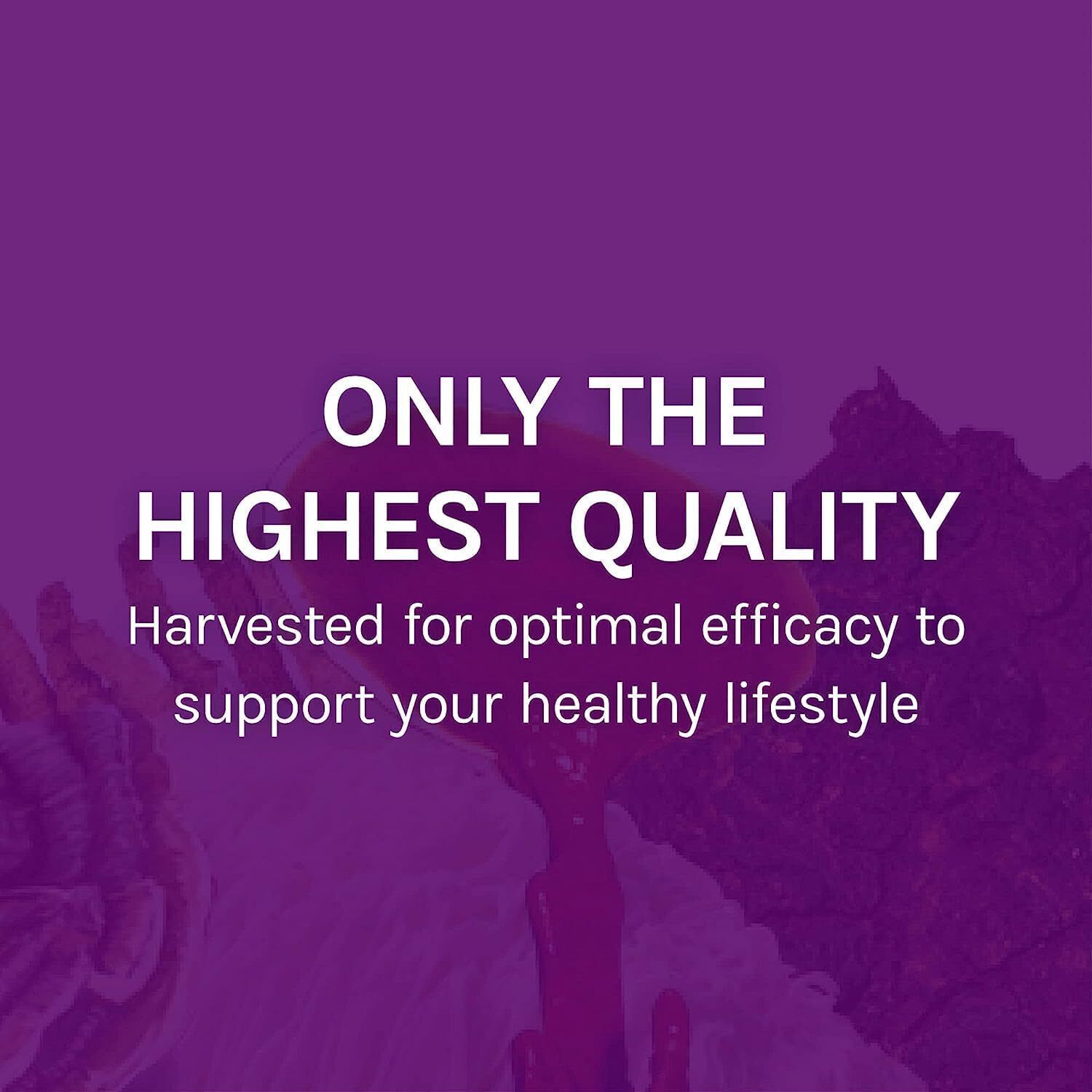 Host Defense MyCommunity Capsules – 17 Species Blend Mushroom Supplement for Imm