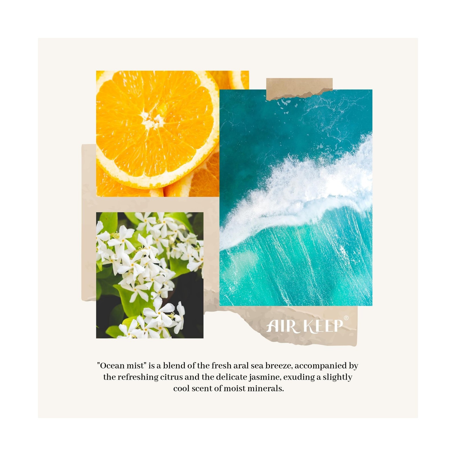 Airkeep Flower Reed Diffusers Set, 5.07 oz Ocean Mist Scented Oil Diffuser wi…