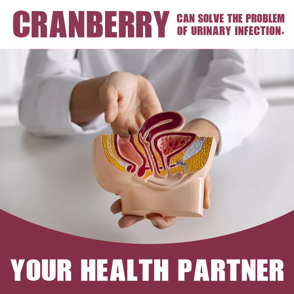 Cranberry Extract Gummies 1000mg Extra Strength Urinary Tract Support