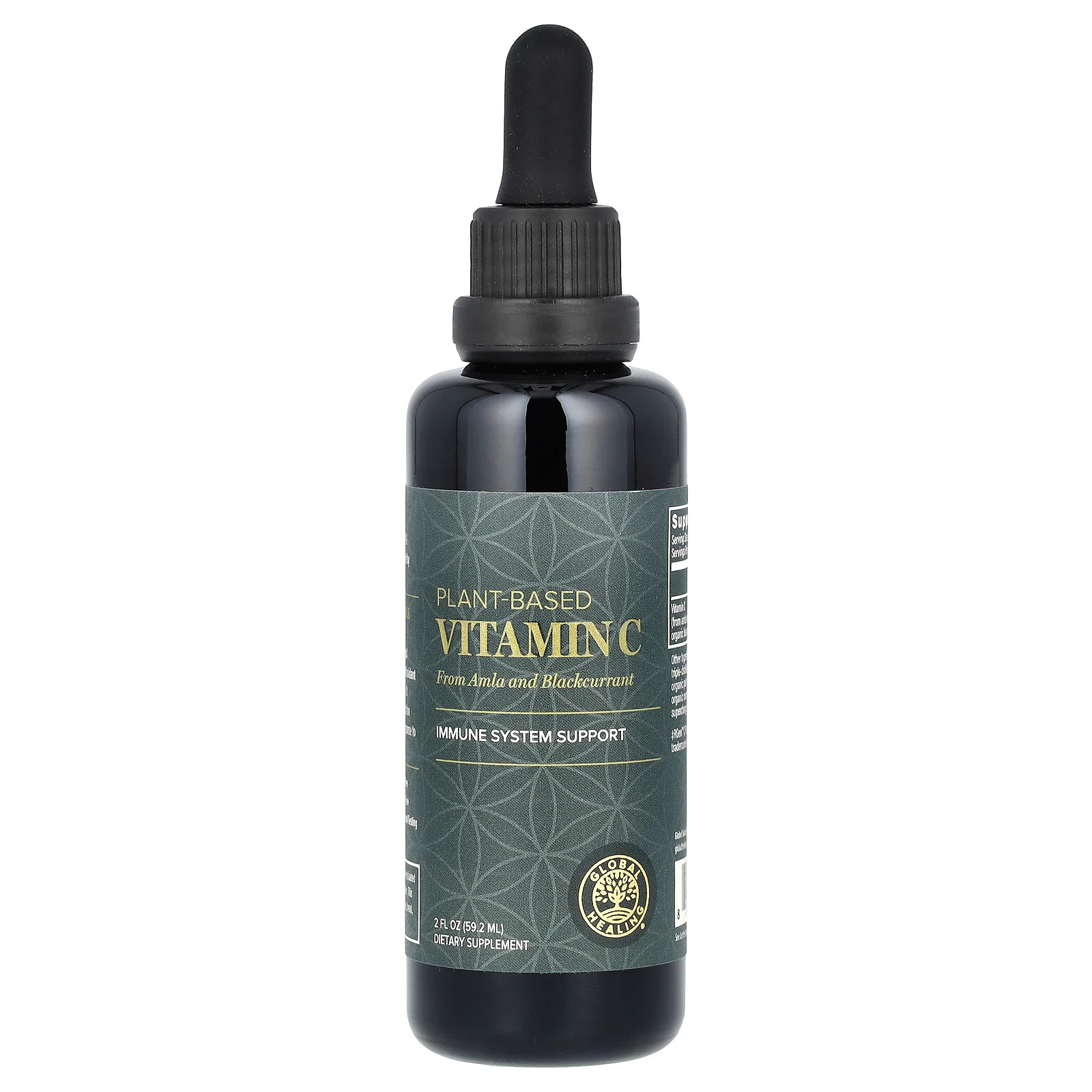 2 X Global Healing, Plant-Based Vitamin C, 2 fl oz (59.2 ml)