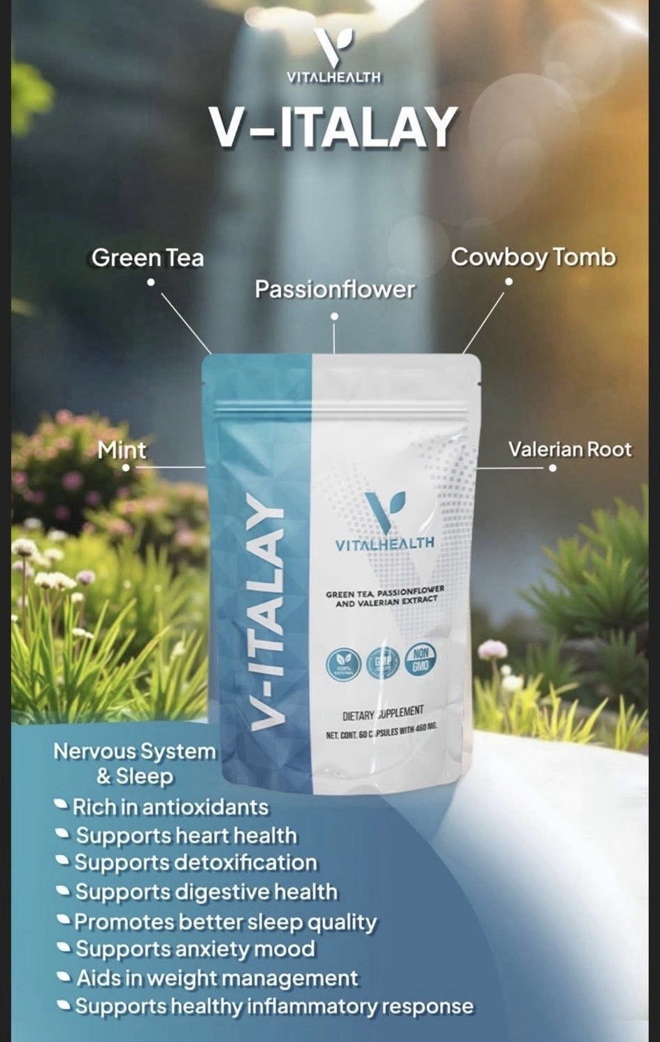V-ITALAY BY VITALHEALTH is made with different natural relaxing herbs