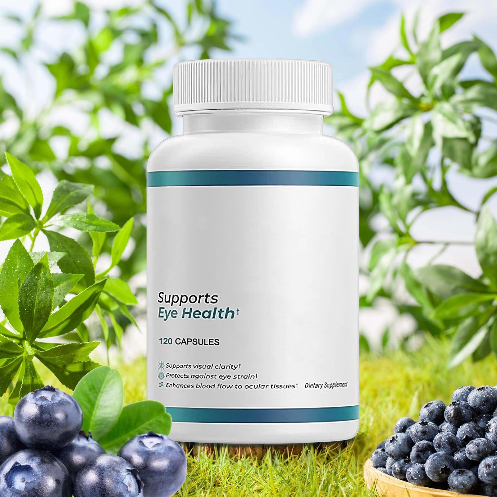 Vision Support – Prevents Eye Fatigue and Improves Focus Visual Eye Supplements