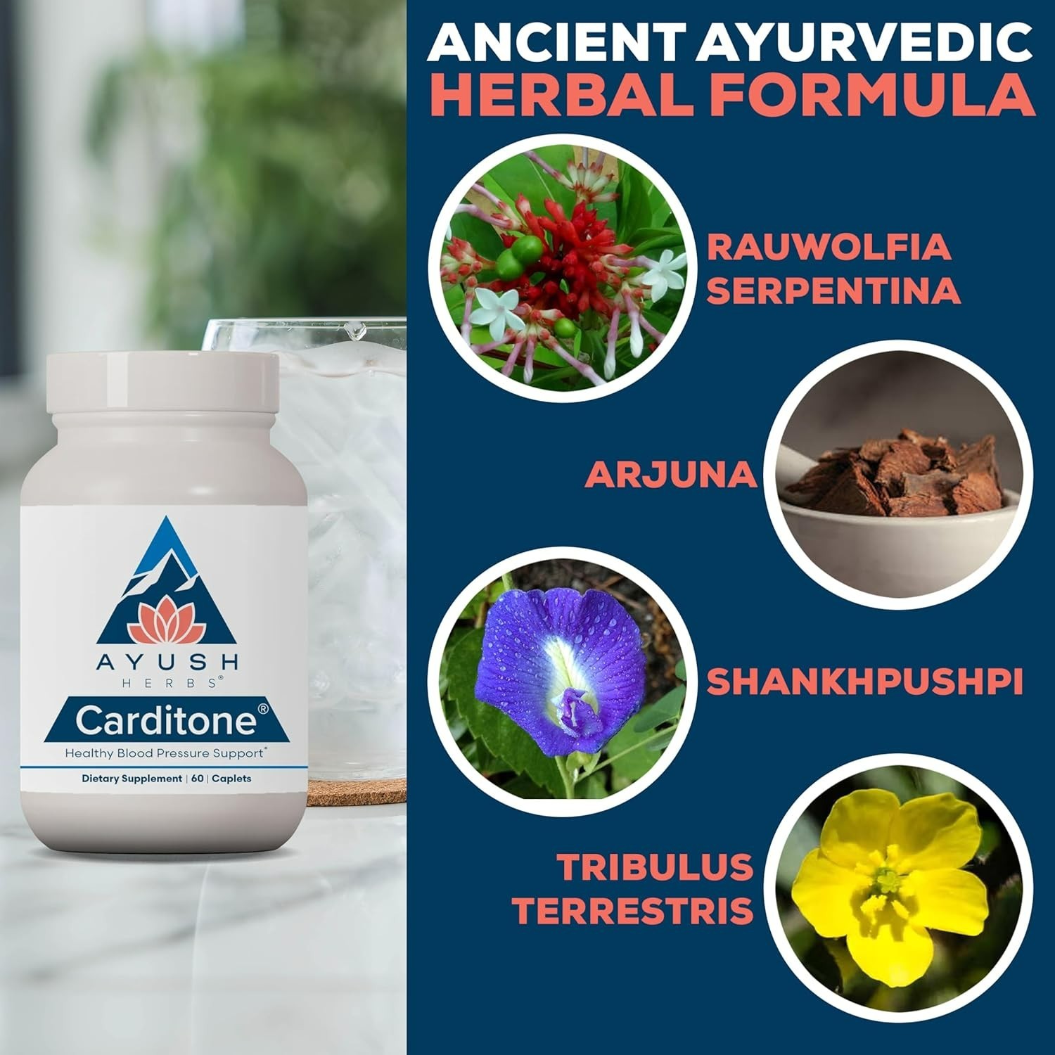 Ayush Carditone Heart Health Supplement – Natural BP Support – 60 Caplets