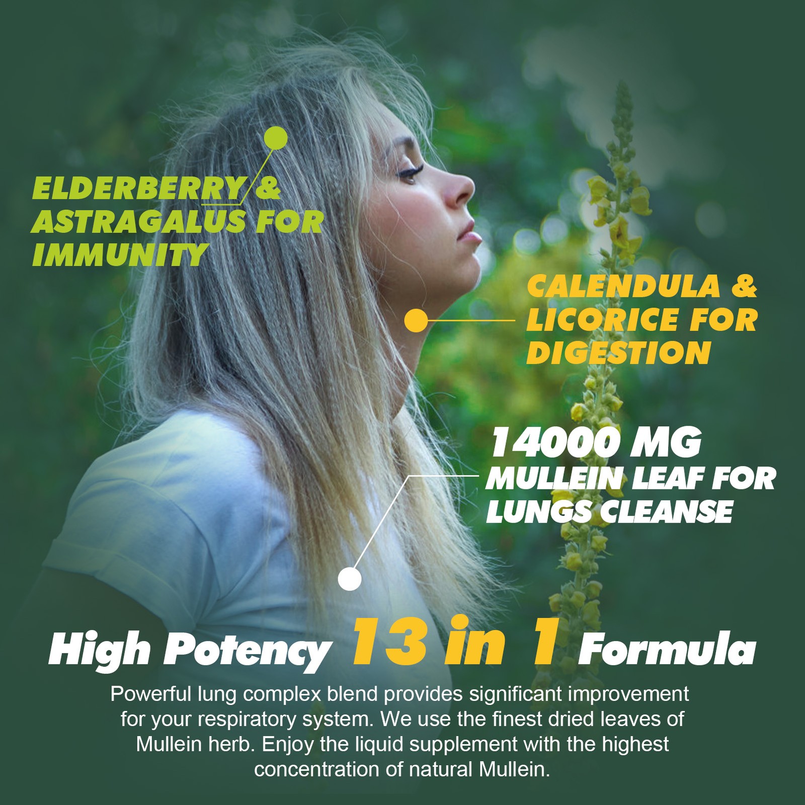 Mullein Leaf Extract for Lungs, Mullein Drops for Lungs Support Lung Respiratory