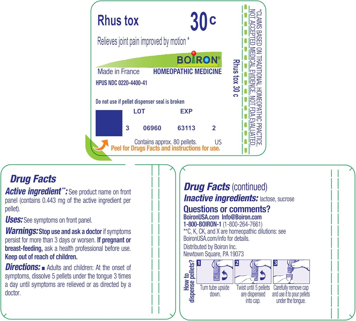 Rhus Toxicodendron 30C Homeopathic Medicine for Joint Pain – 80 Pellets