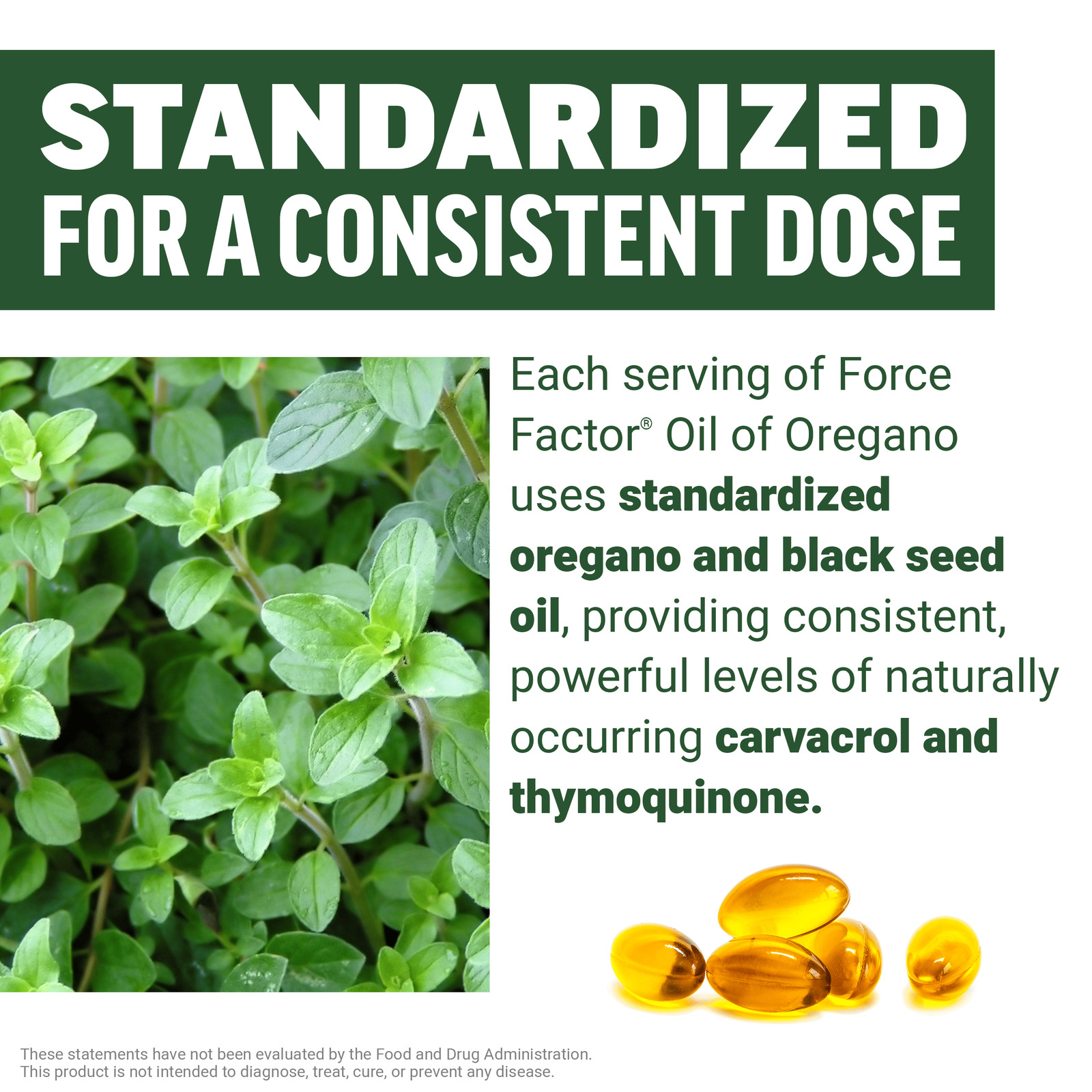 60 Softgels Oil of Oregano with Black Seed Oil Immune Digestion