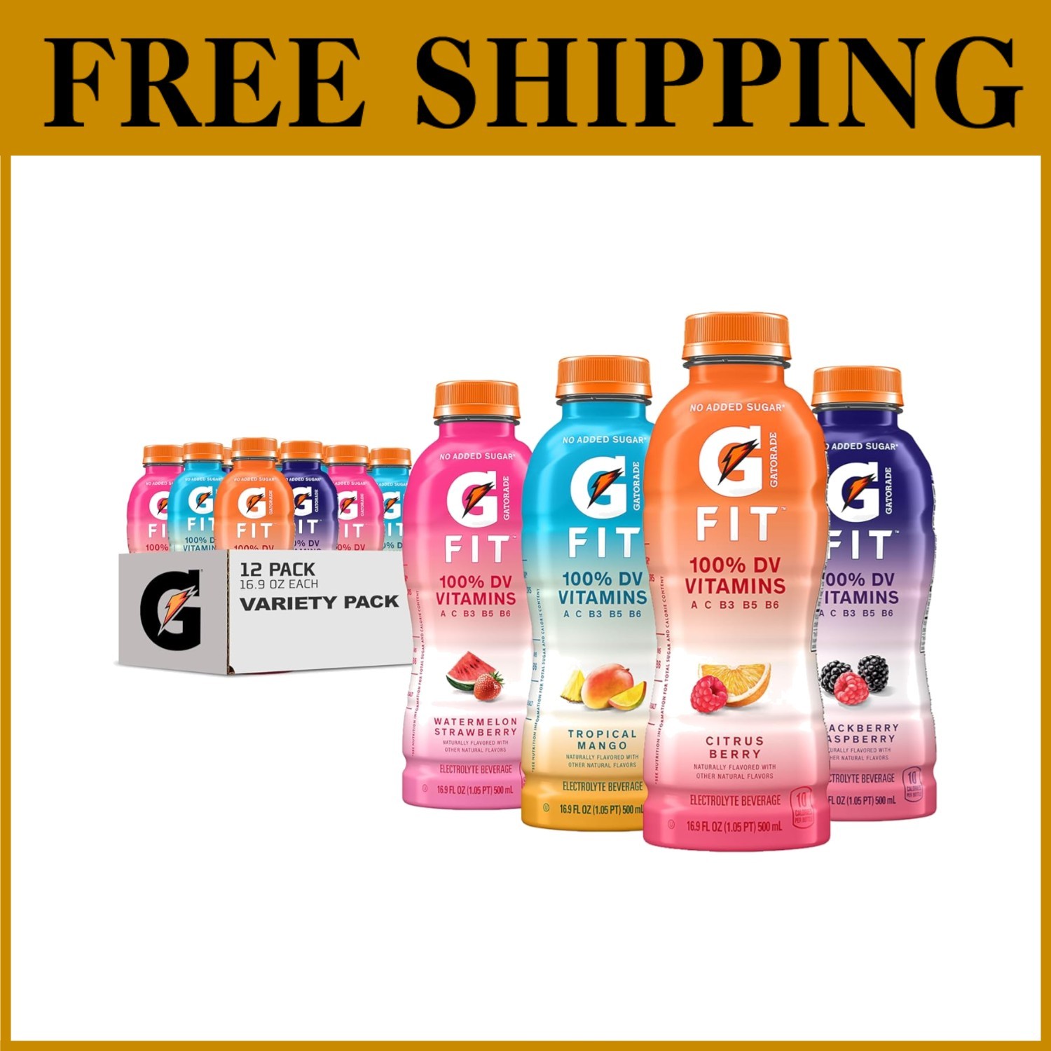 Fit Electrolyte Beverage 16.9oz 12-Pack~-