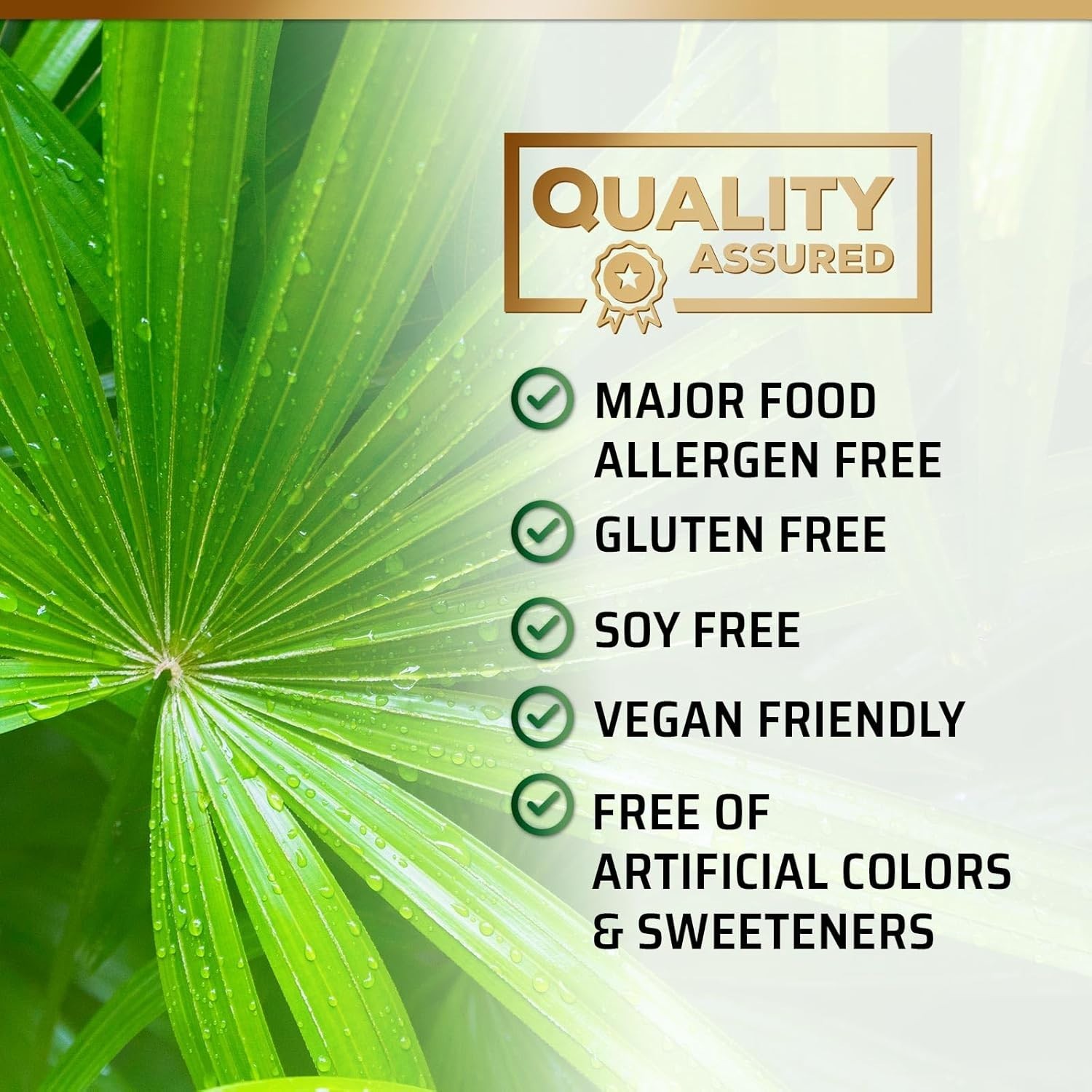 Saw Palmetto 1000mg – Premium Prostate Health Support Supplement for Men