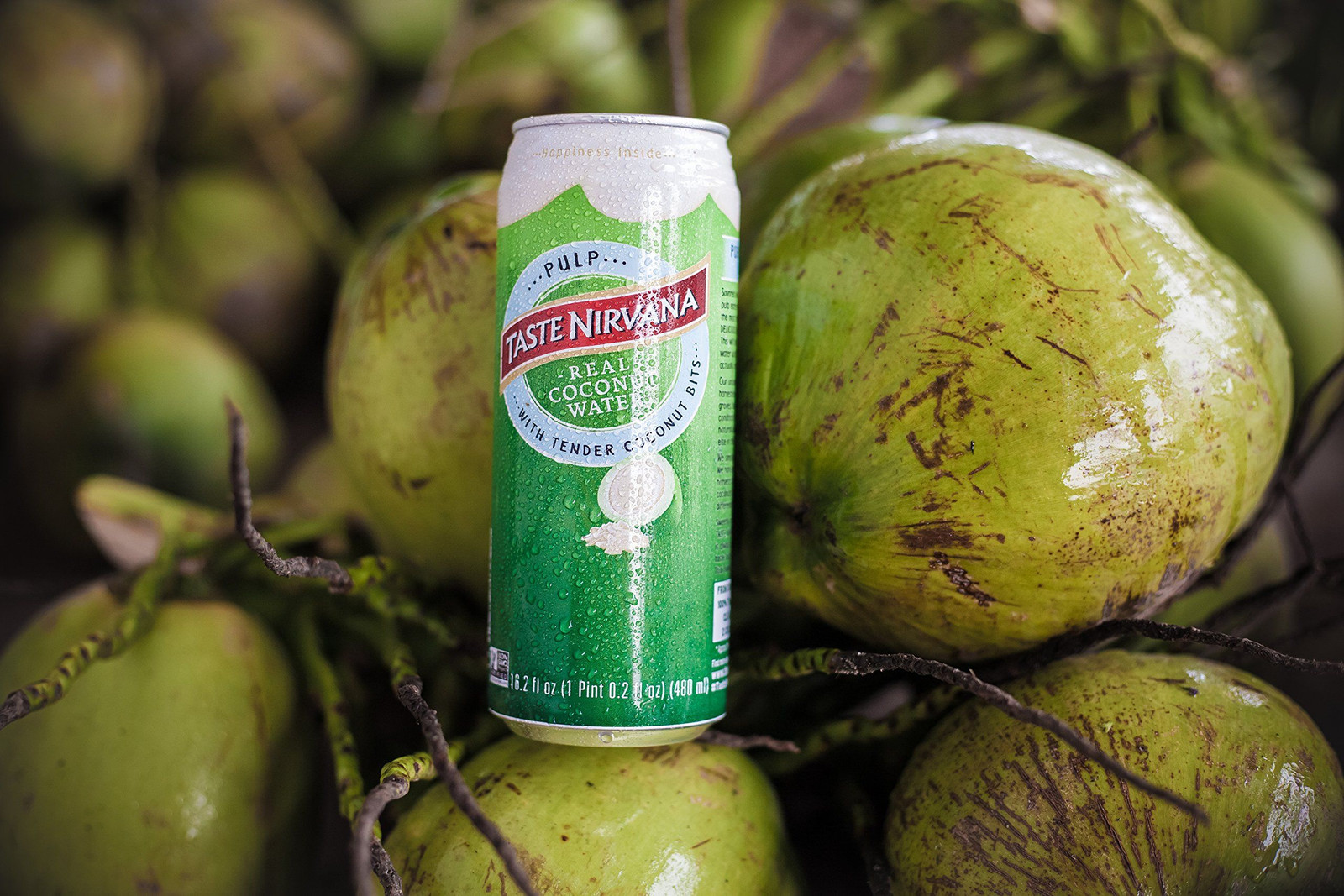 Taste Nirvana Real Coconut Water, Coco Pulp with 16.2 fl oz (Pack of 12)