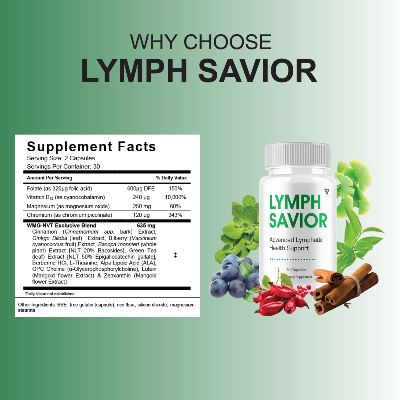 Lymph Savior Lymphatic Health, LymphSavior Support (60 Capsules)