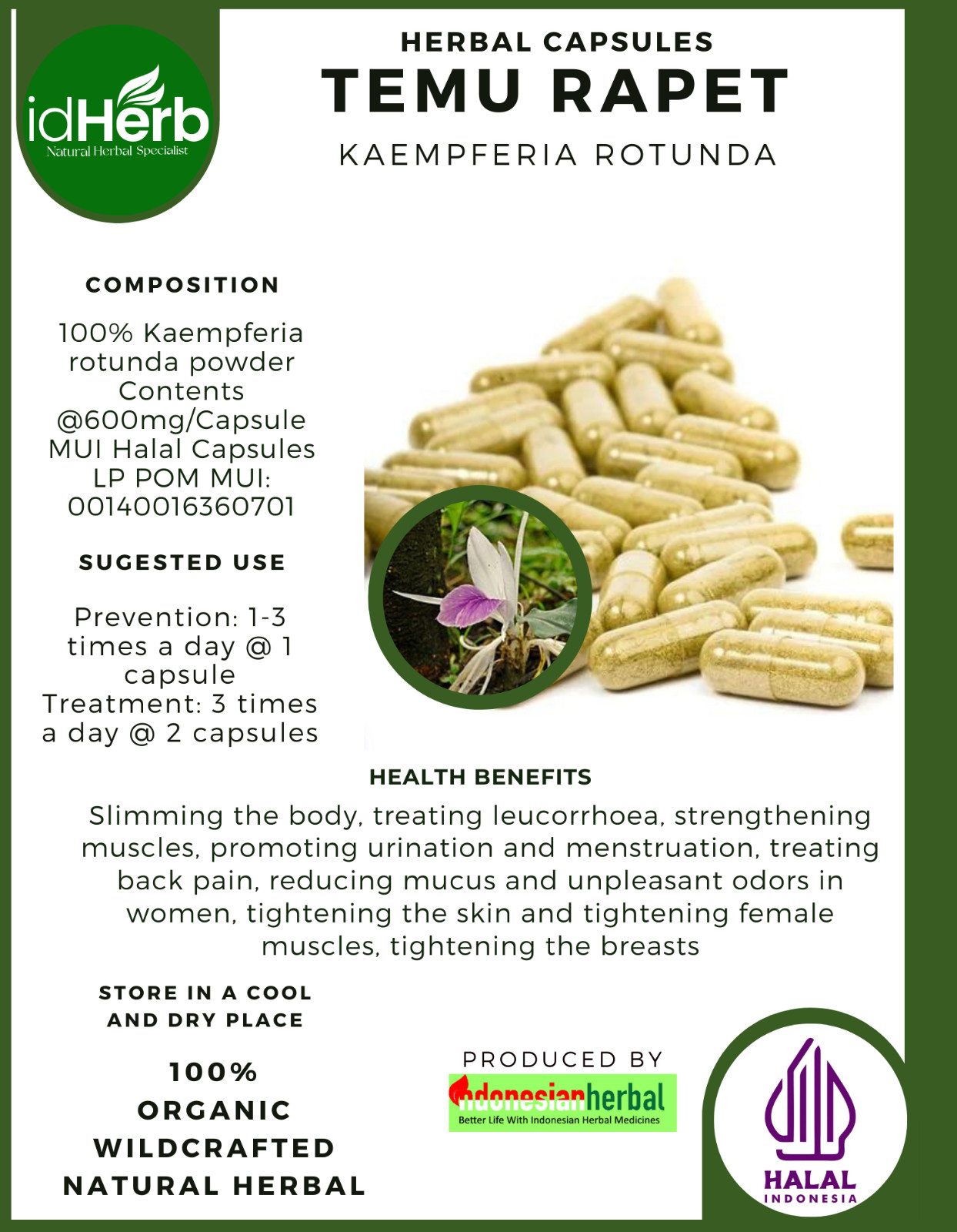 [idHerb] 100-800 Capsules Bhumi Champa Kaempferia Rotunda Organic WildCrafted