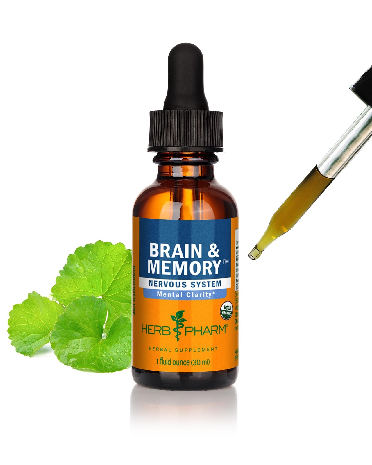 1 Fl Oz (Pack of 1), Herb Pharm Brain and Memory Liquid Herbal Formula With…