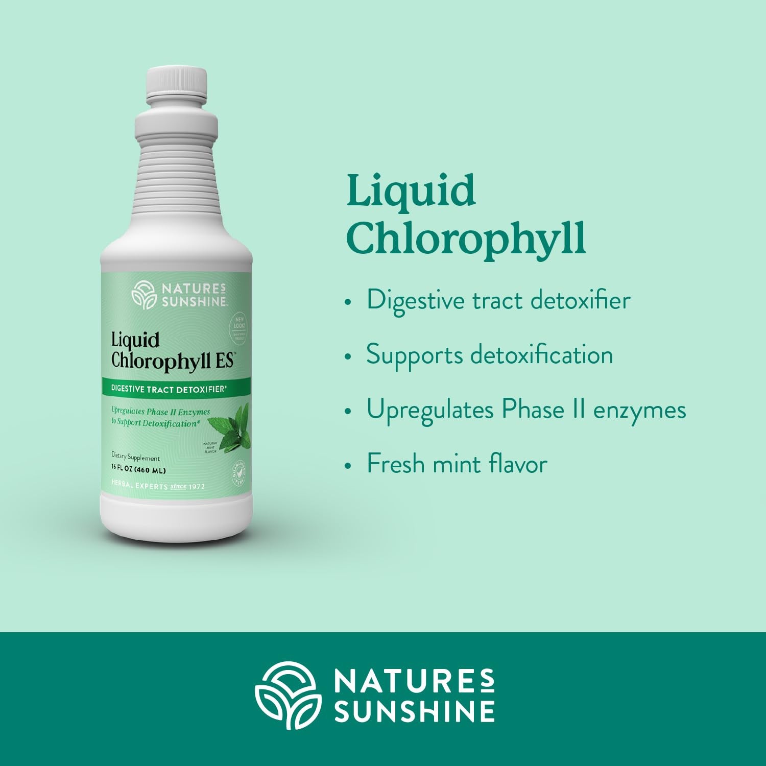 Nature’s Sunshine Liquid Chlorophyll Extra Strength – 16 Fl Oz (Pack of 1)