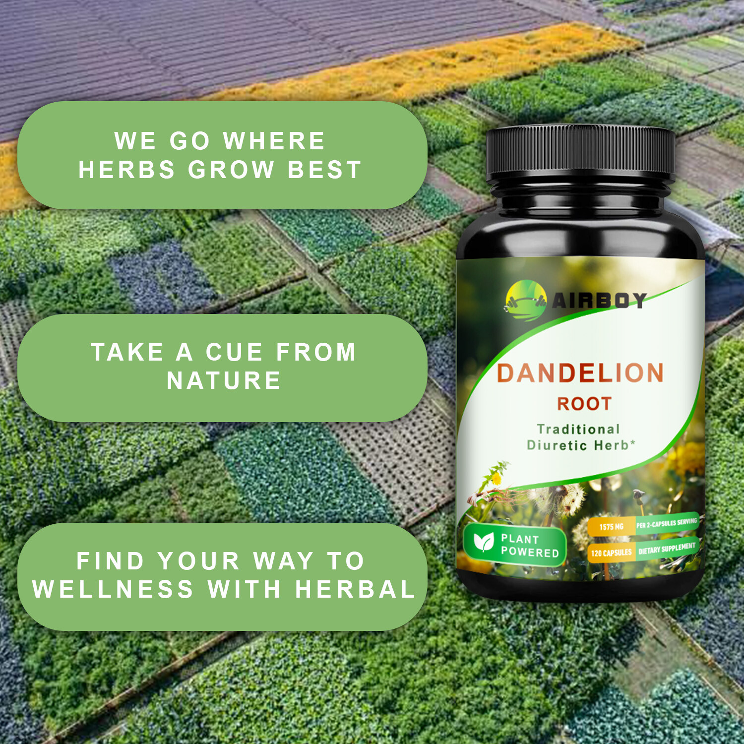Dandelion Root 1575mg-Liver Kidney Health,Cleansing & Detox,Non-GMO,Gluten Free