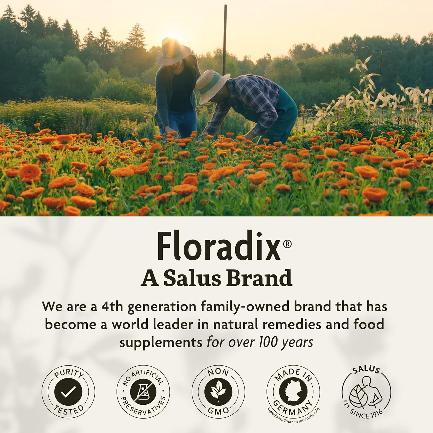 Floradix Gallexier Herbal Bitters, Digestive Support Supplement, 8.5 Fl Oz