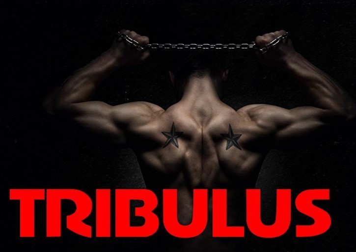 Bulgarian – TRIBULUS  EXTRACT 1000MG great natural working 1 Bottle 60 Tablets