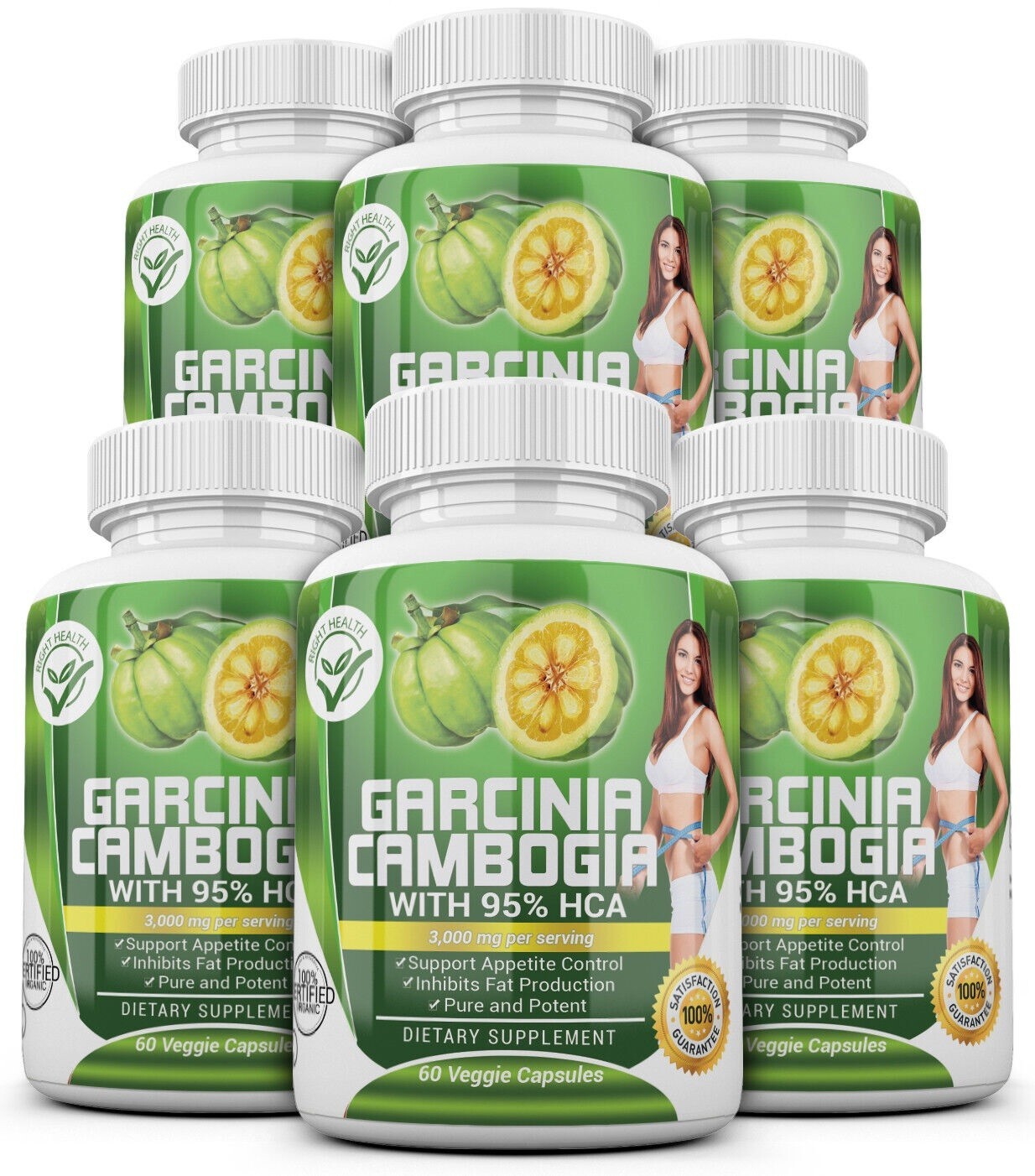 6 X BOTTLES 360 Capsules 3000mg Daily GARCINIA CAMBOGIA HCA 95% Weight Loss Diet