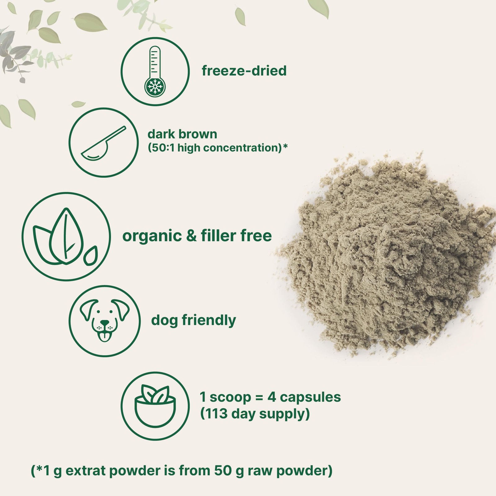 Organic Turkey Tail Mushroom Powder (50:1 Extract), 8 8 Ounce (Pack of 1)