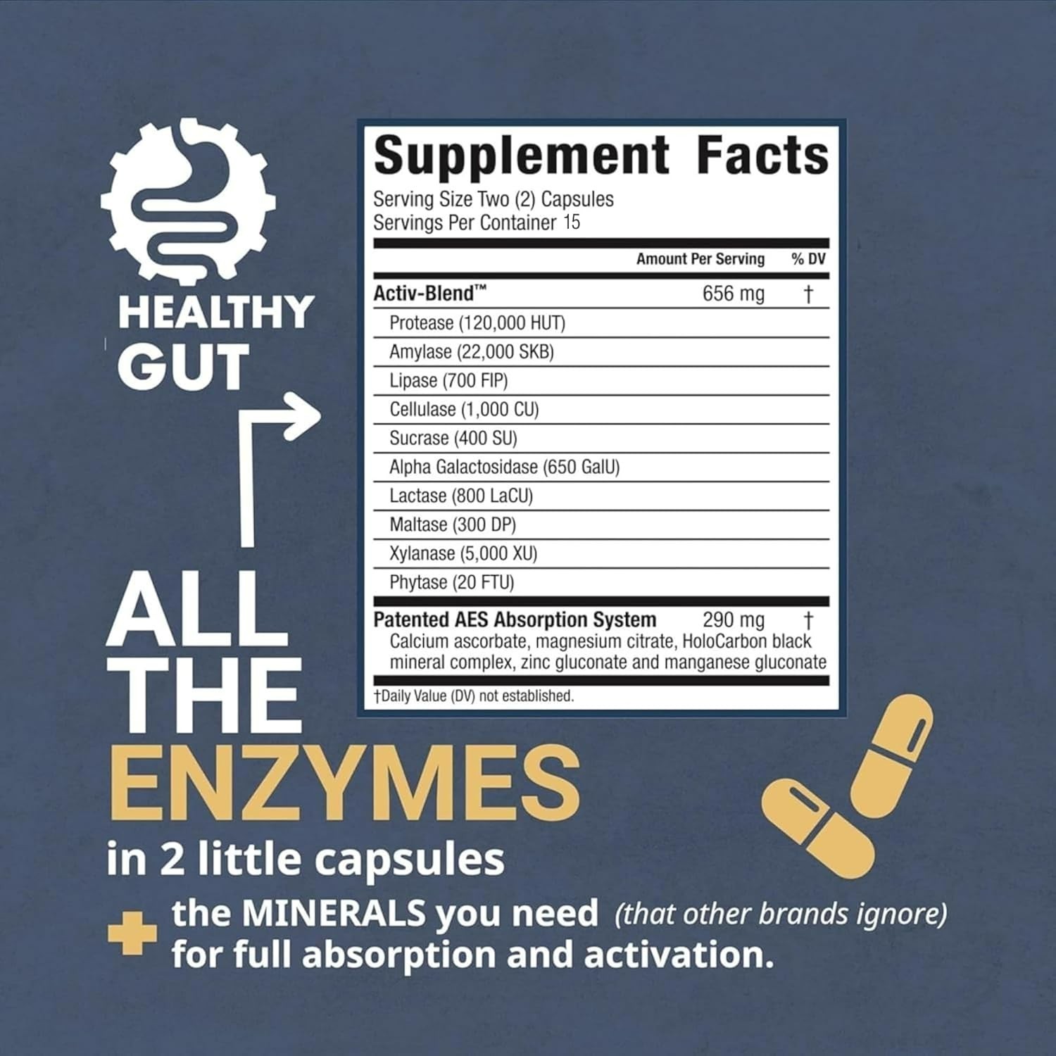 Holozyme Max Strength Digestive Enzymes | Prevents Bloating, Gas, & Indigestion