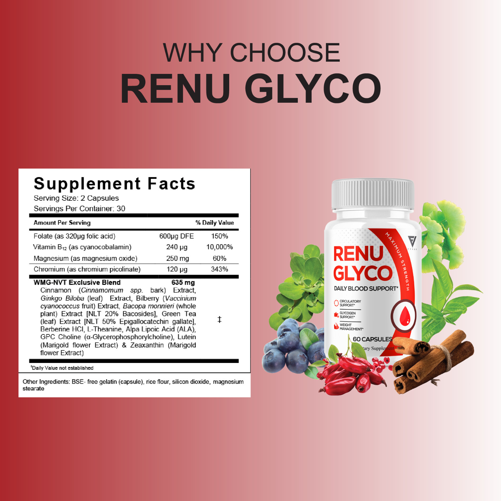 Renu Glyco Daily Blood Support Capsules, RenuGlyco Pills (60 Capsules)