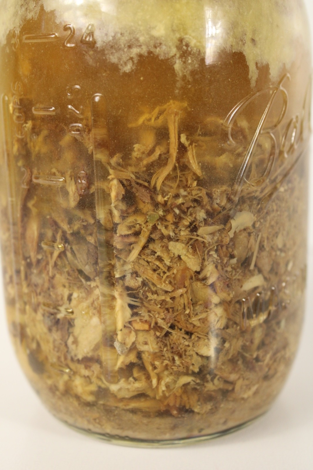 Homemade Natural Pet Dog Cat Bone Broth Grass Fed Free Range Chicken Beef 32 oz