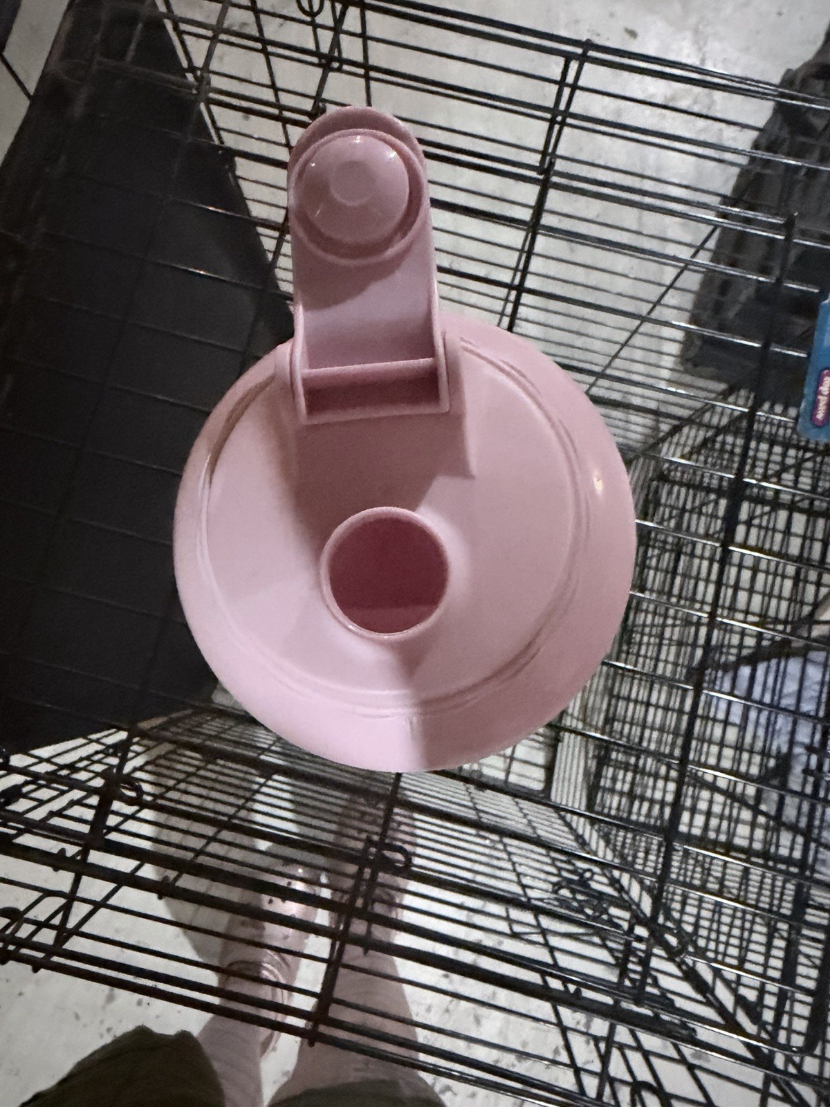 Quaju 1 Gallon Pink Plastic Water Bottle w/ Screw-On Lid, 1 gal Capacity