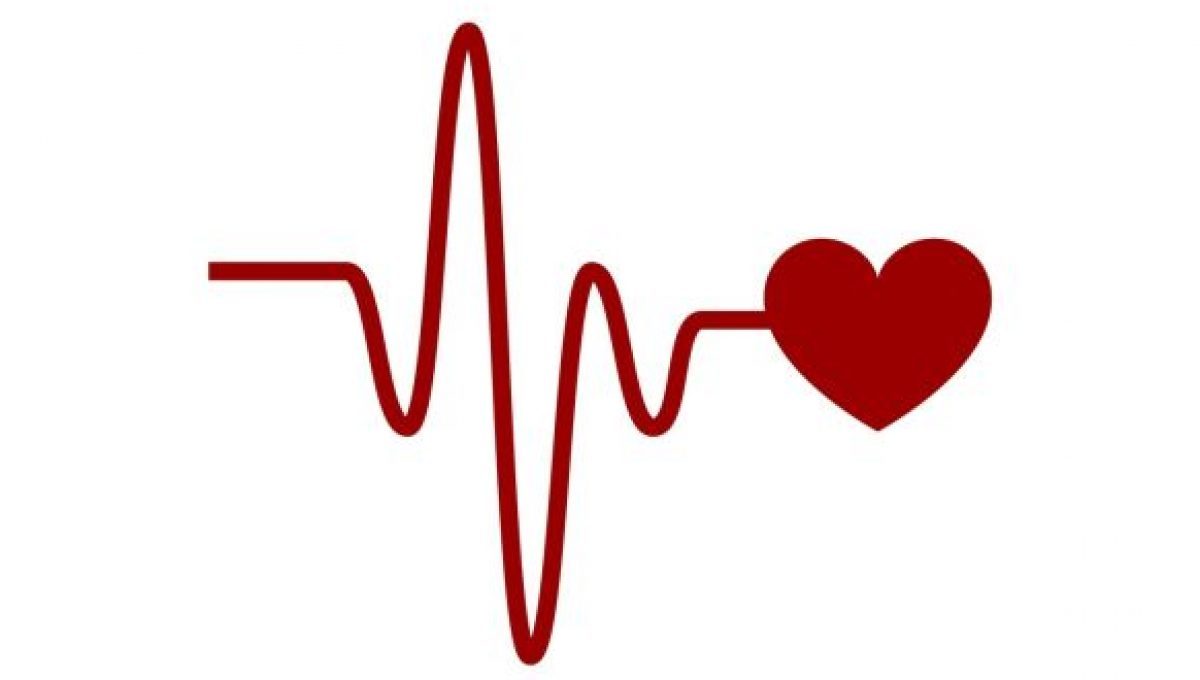 BLOOD PRESSURE SUPPORT – Dietary Supplement Pills – Heart Healthy Supplement -1B
