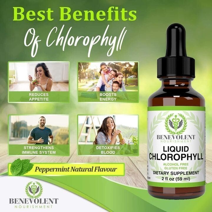 NEW Benevolent Nourishment Liquid Chlorophyll Herbal Supplement 2 oz