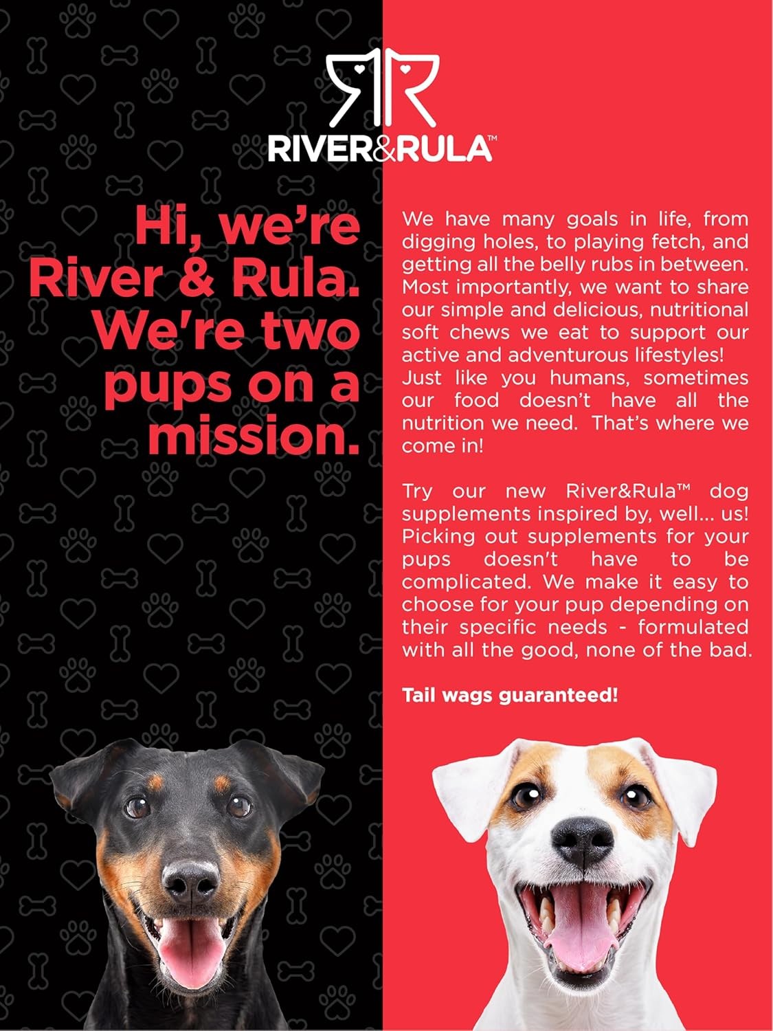 Salmon Oil for Dogs 64 fl oz | Supports Healthy Skin and Coat | by River & Rula