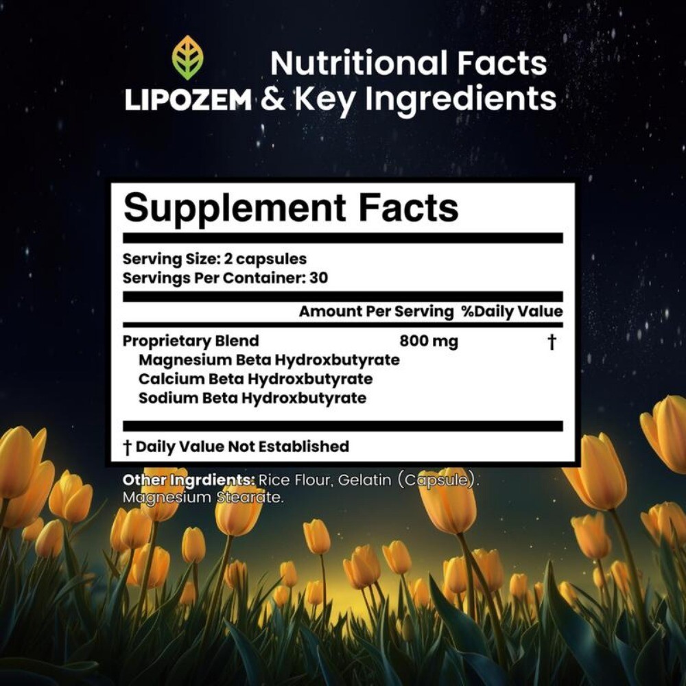 Lipozem Supplements Managing Weight Management Gut Health Metabolism 60 Pills US