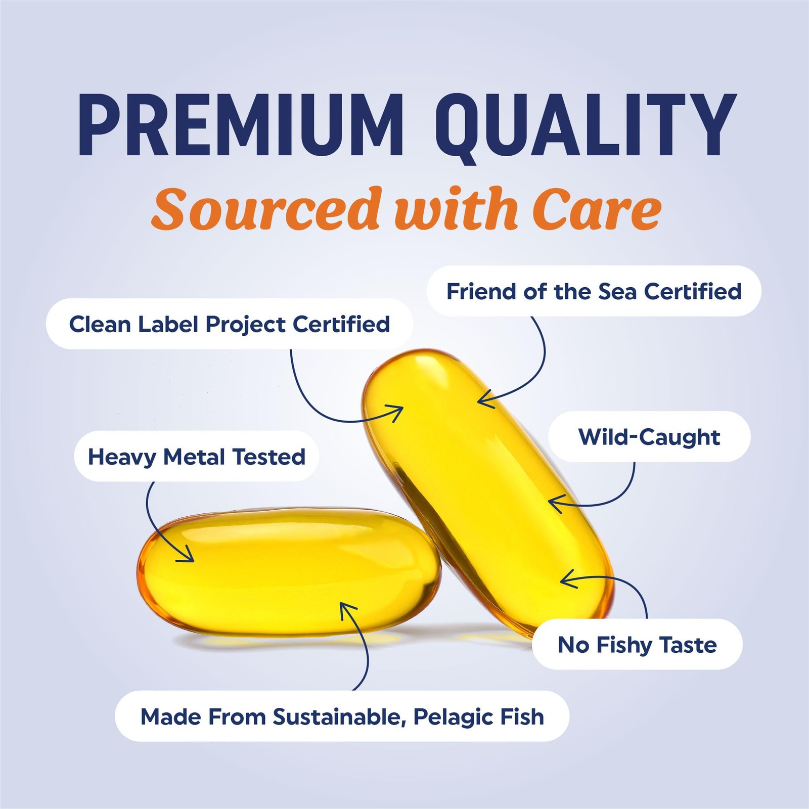 Triple Strength Omega 3 Fish Oil 3600 mg | EPA & DHA | 120 Count (Pack of 1)