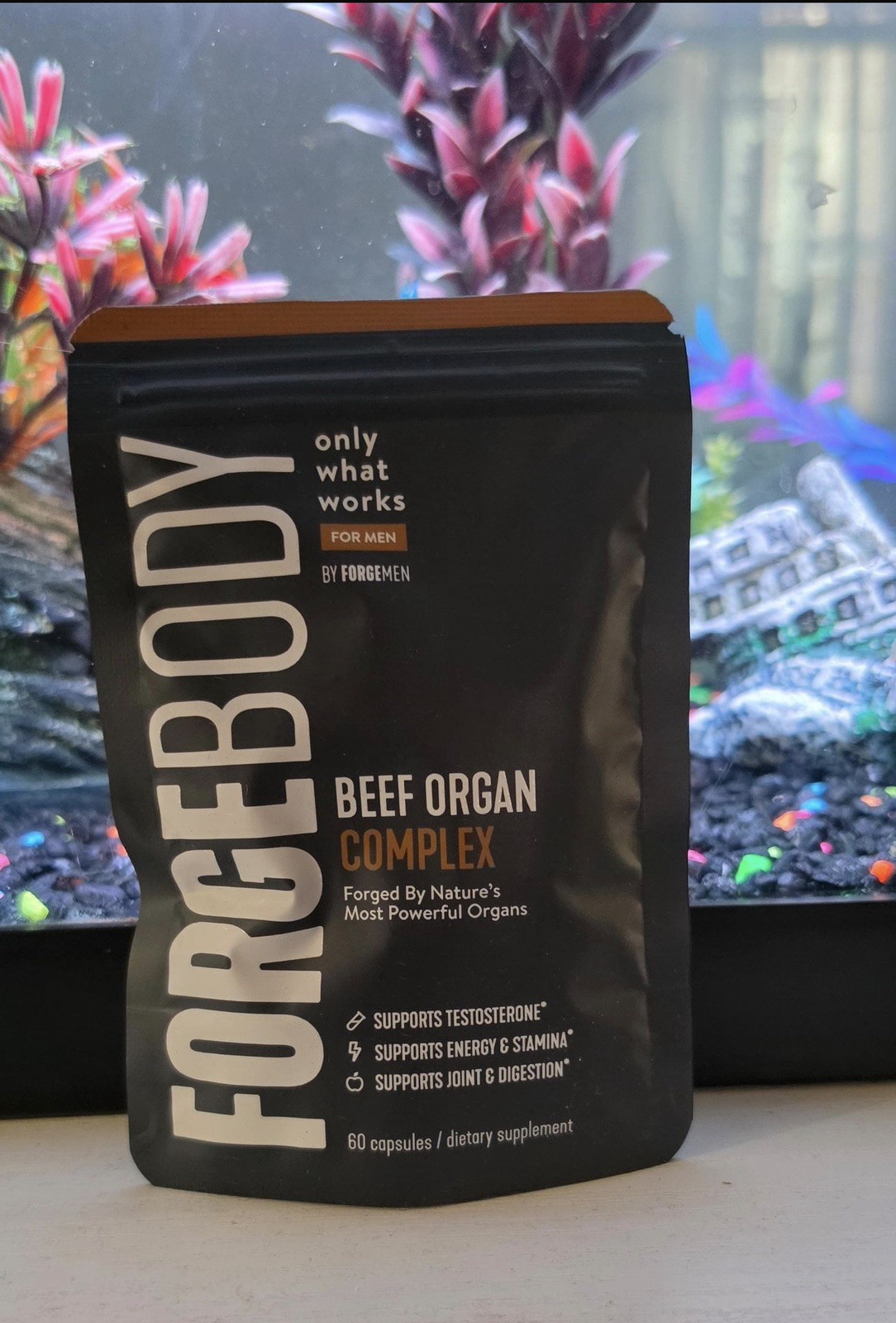 FORGE BODY Beef Organ Complex for Men 60 Capsules 675mg Non-GMO Gluten Free
