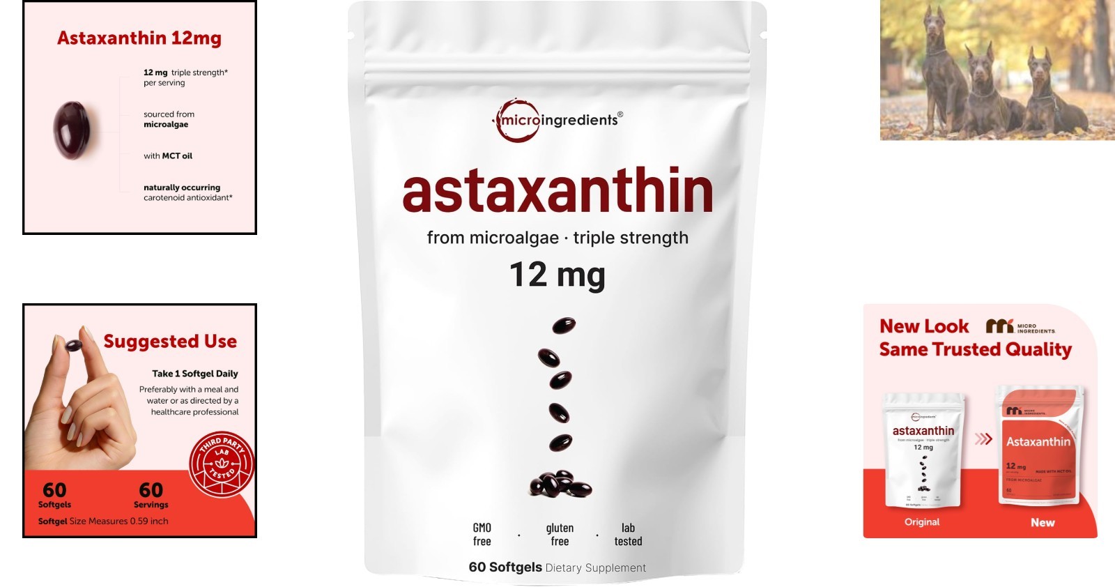 Astaxanthin 12mg Softgels Infused with MCT Oil – 60 Gluten-Free Antioxidants