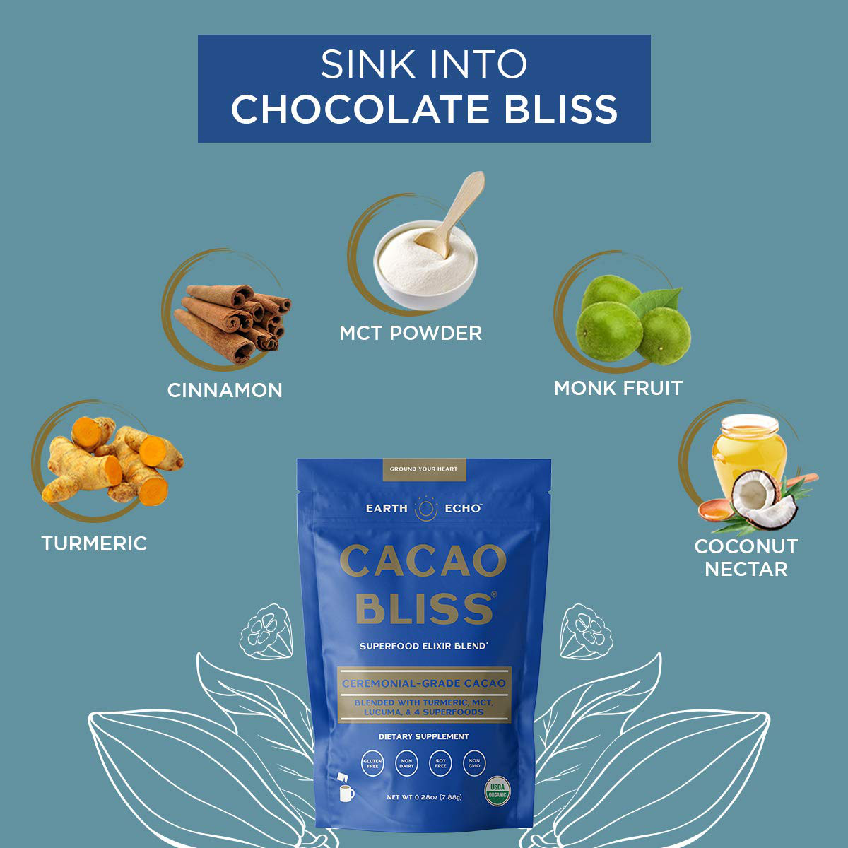 Earth Echo Raw Cacao Bliss Superfood Powder Organic Non GMO Healthy 15Pack Choco