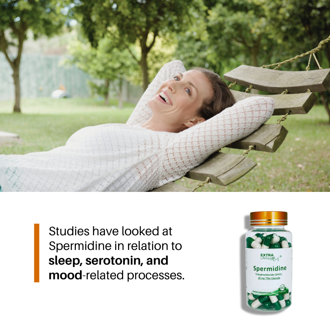 Spermidine Resveratrol Australia 60 Capsule Autophagy Anti Aging Supplements
