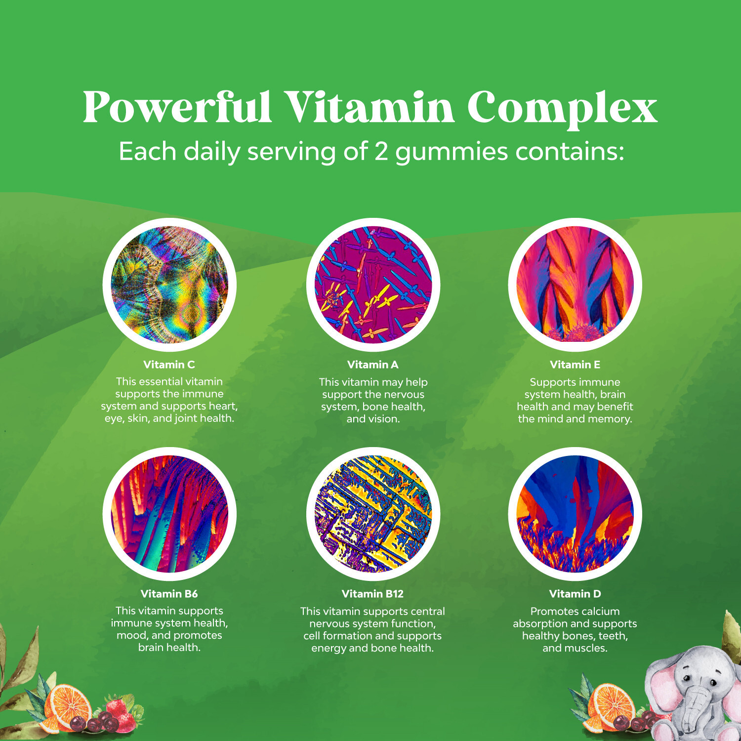 Delicious Daily Kids Multivitamin Gummies for Immunity Halal Gluten-Free 120ct